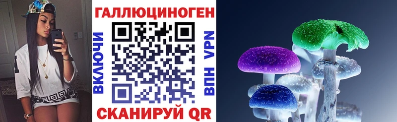 Купить  Покровск  Галлюциногенные грибы MAGIC MUSHROOMS 